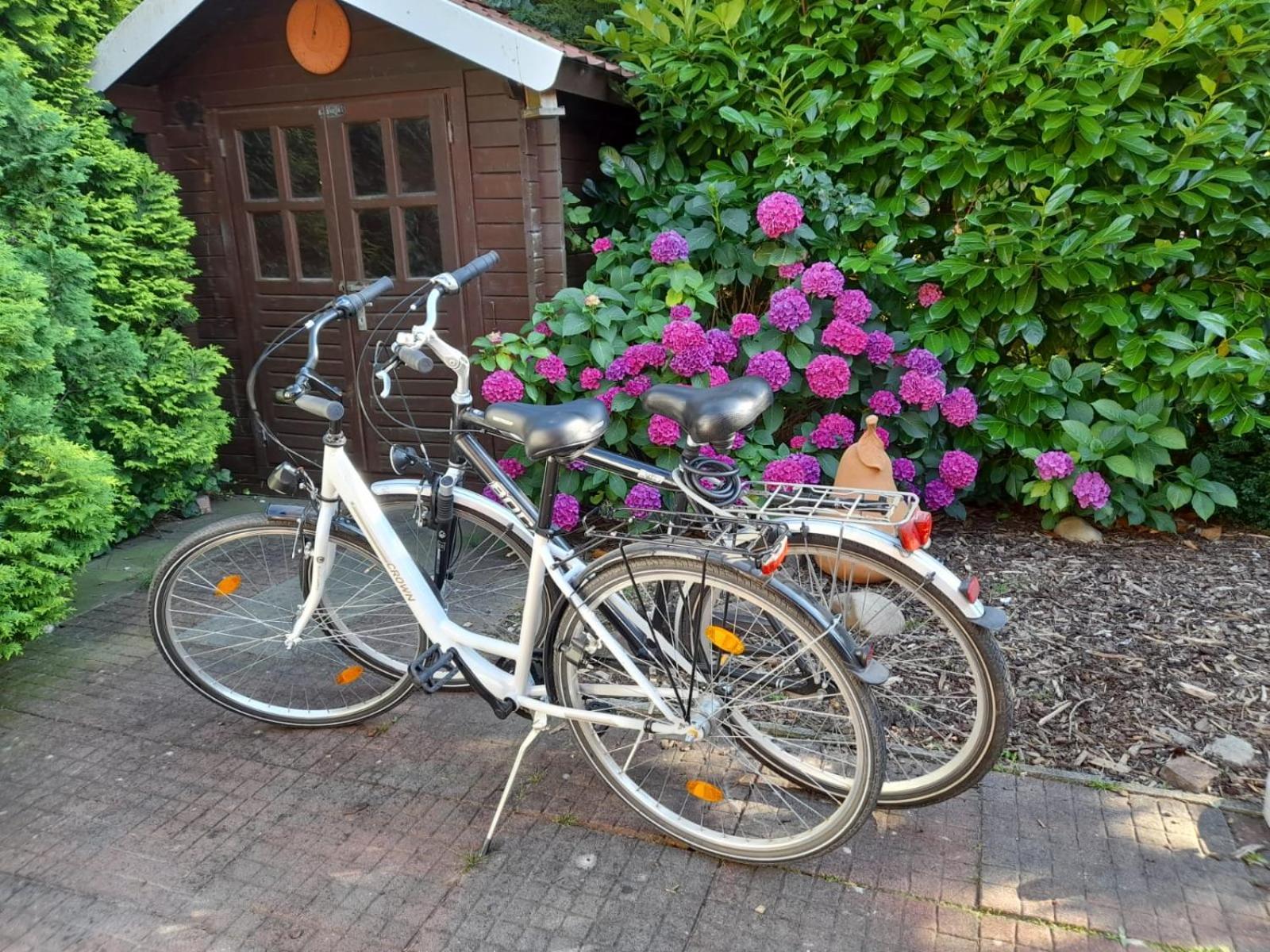 Ferienhaus Am Sielblick in Ditzum Exterior foto